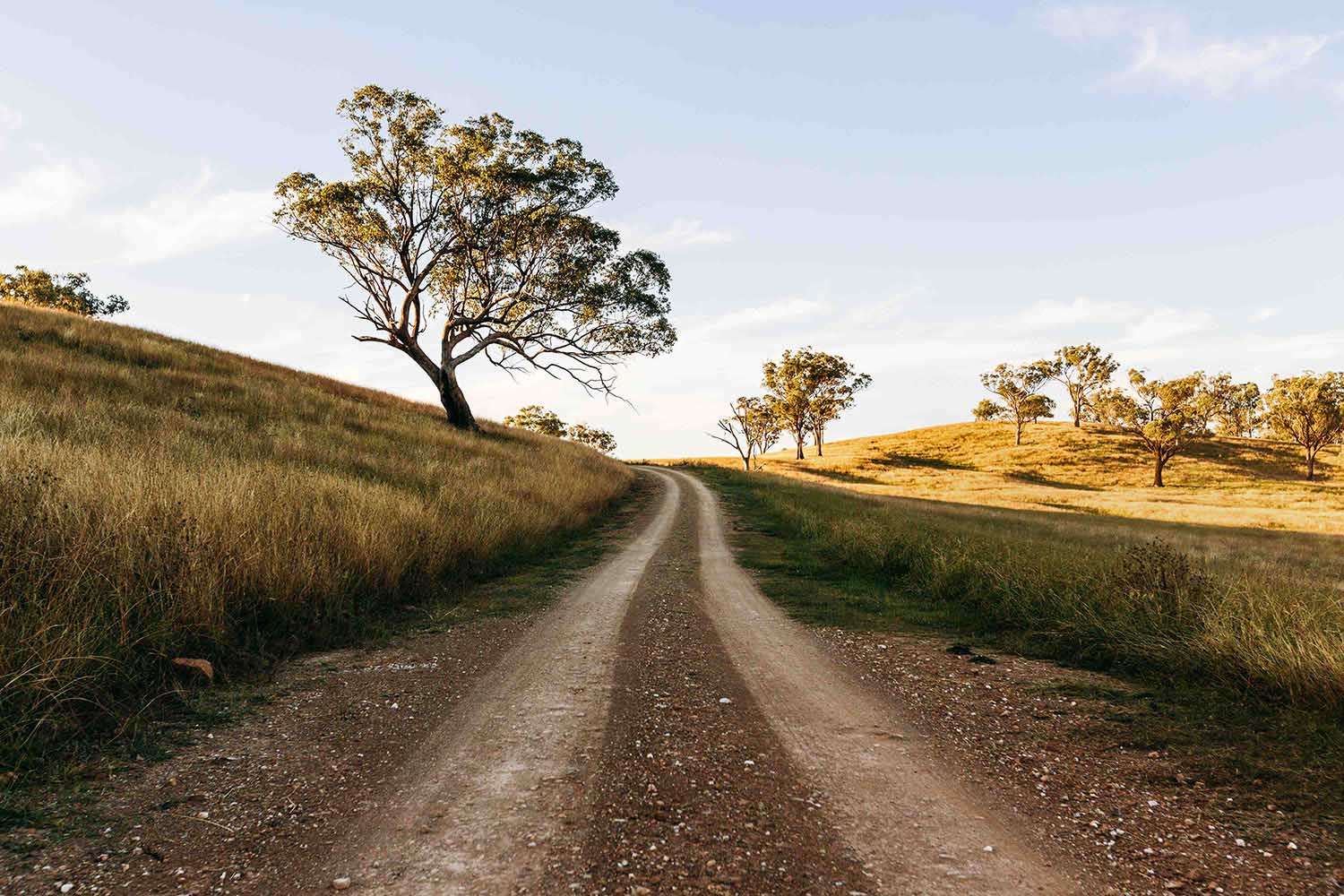 rosby-guesthouse-landscape-road