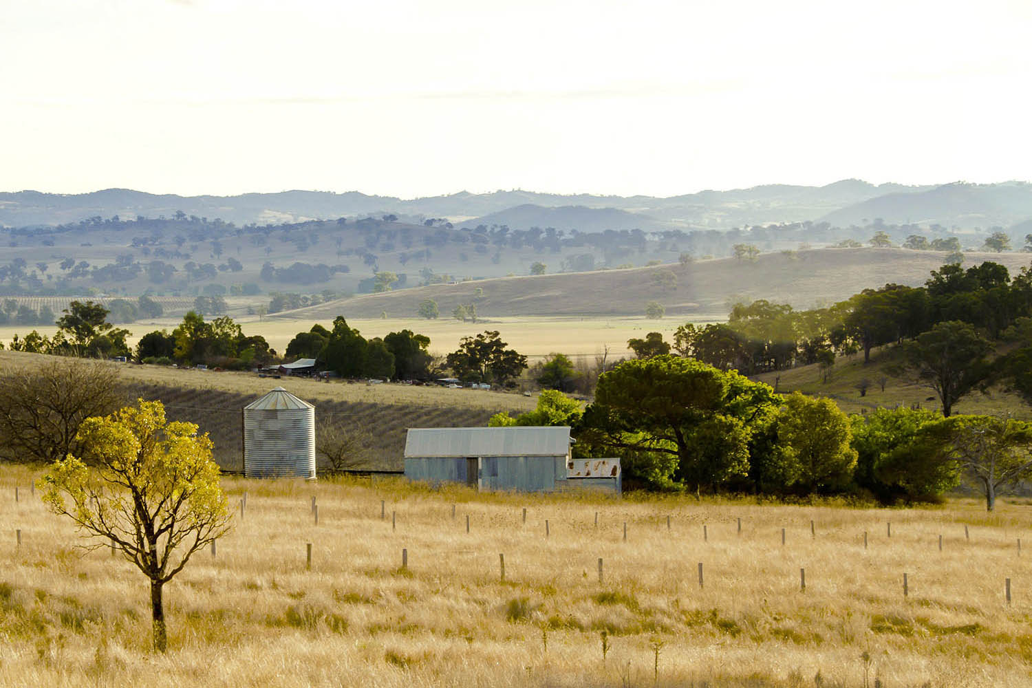 rosby-guesthouse-shearing-shed-landscape