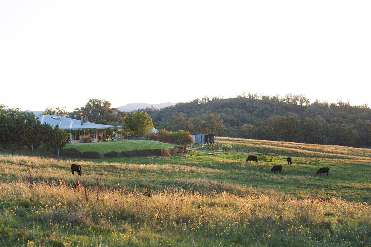 rosby-guesthouse-stay-mudgee-accommodation-wine