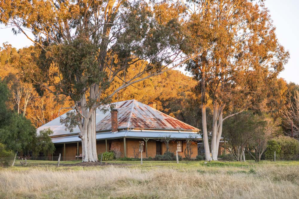 rosby mudgee house