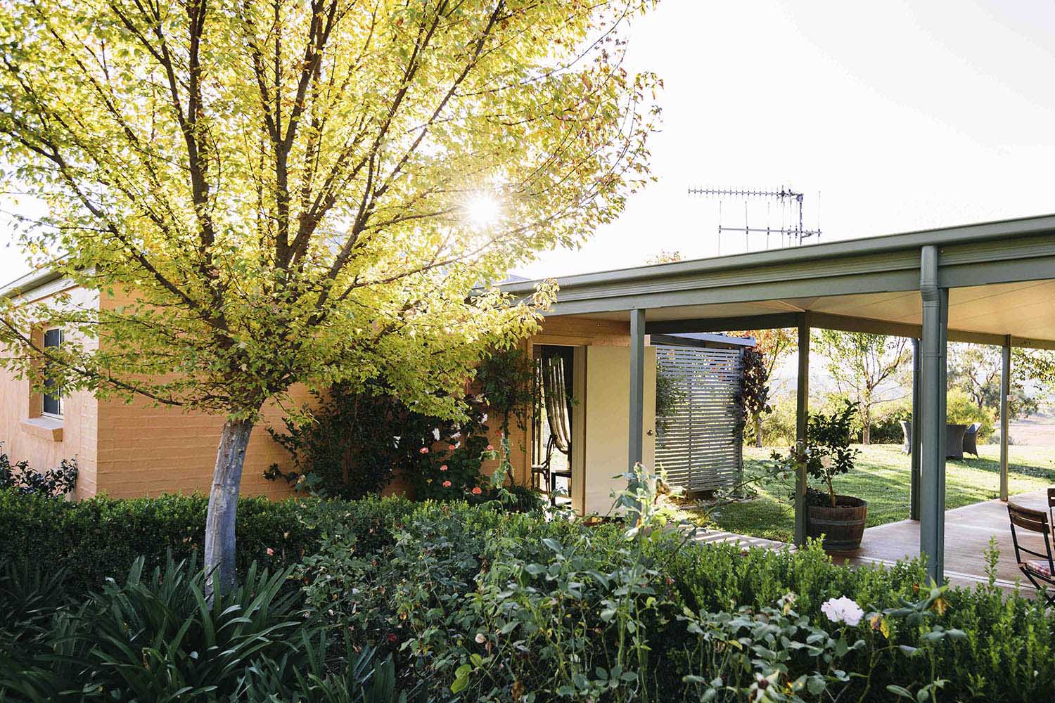 rosby-studio-farmstay-accommodation-stay-wineries